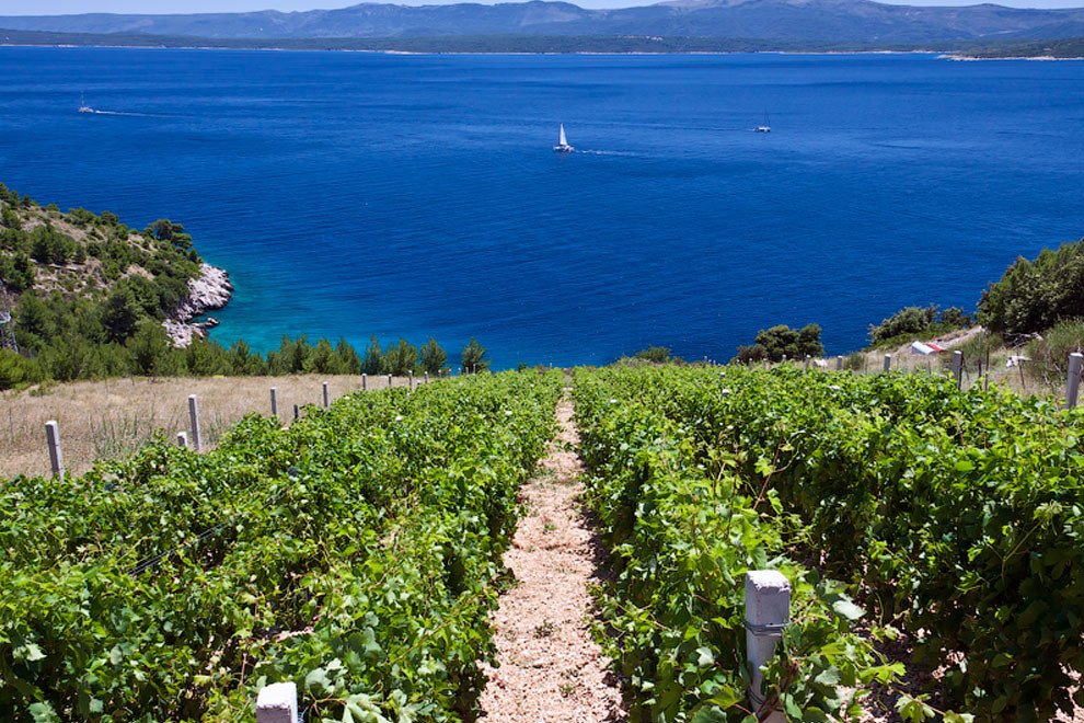 Best Dubrovnik sailing  routes